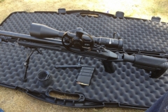 Howa 1500 .308" axion stock