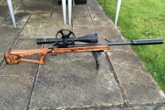 Howa 1500 .308"